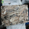 Frozen Squid Tentacle Giant Squid Cleaned 2019